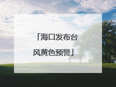 海口发布台风黄色预警