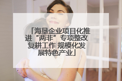 海垦企业项目化推进“两非”专项整改复耕工作 规模化发展特色产业