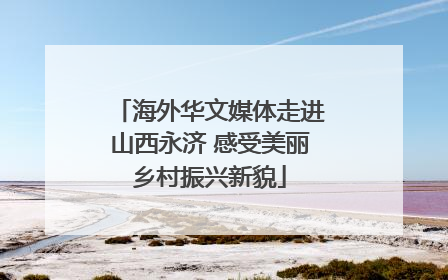 海外华文媒体走进山西永济 感受美丽乡村振兴新貌