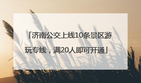 济南公交上线10条景区游玩专线，满20人即可开通