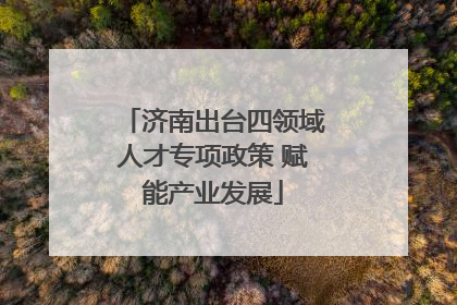 济南出台四领域人才专项政策 赋能产业发展