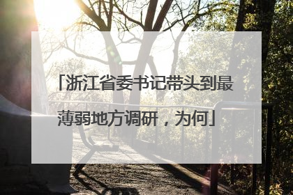 浙江省委书记带头到最薄弱地方调研，为何