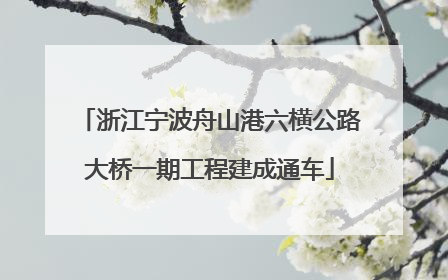 浙江宁波舟山港六横公路大桥一期工程建成通车