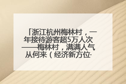 浙江杭州梅林村，一年接待游客超5万人次——梅林村，满满人气从何来（经济新方位·农村消费观察）