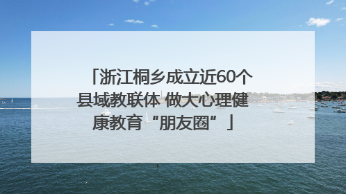 浙江桐乡成立近60个县域教联体 做大心理健康教育“朋友圈”