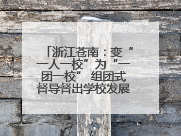 浙江苍南：变“一人一校”为“一团一校” 组团式督导督出学校发展加速度