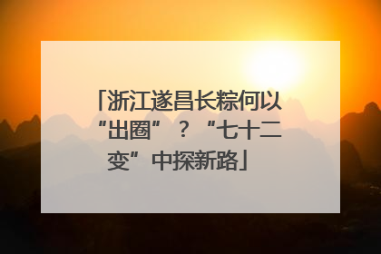 浙江遂昌长粽何以“出圈”？“七十二变”中探新路