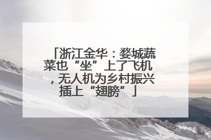 浙江金华：婺城蔬菜也“坐”上了飞机，无人机为乡村振兴插上“翅膀”