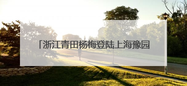 浙江青田杨梅登陆上海豫园 盛夏“梅”好盛宴开启