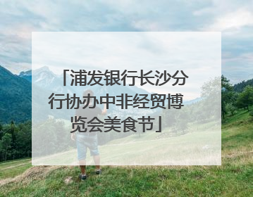 浦发银行长沙分行协办中非经贸博览会美食节