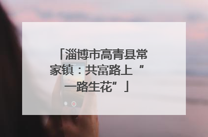 淄博市高青县常家镇：共富路上“一路生花”