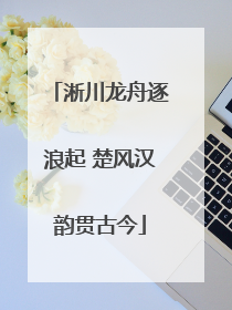 淅川龙舟逐浪起 楚风汉韵贯古今