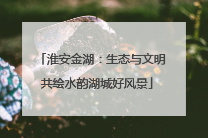 淮安金湖：生态与文明共绘水韵湖城好风景