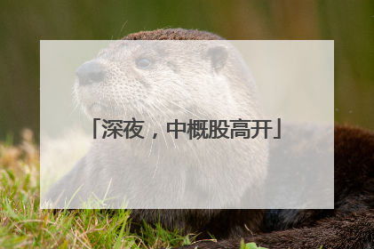 深夜，中概股高开