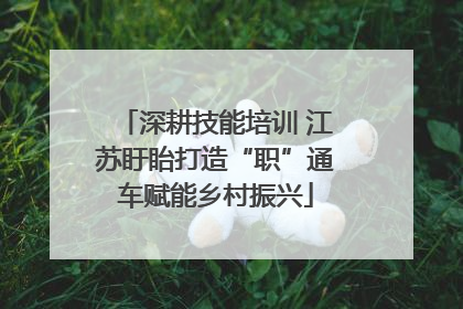 深耕技能培训 江苏盱眙打造“职”通车赋能乡村振兴