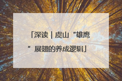 深读｜虞山“雄鹰”展翅的养成逻辑