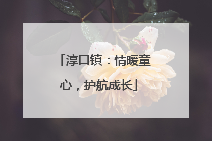 淳口镇：情暖童心，护航成长