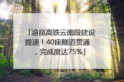 渝昆高铁云南段建设提速！40座隧道贯通，完成度达75%