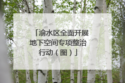 渝水区全面开展地下空间专项整治行动（图）