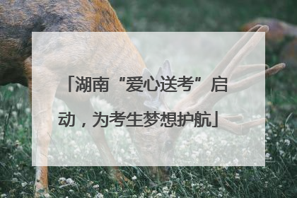 湖南“爱心送考”启动，为考生梦想护航