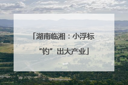 湖南临湘：小浮标“钓”出大产业