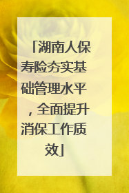 湖南人保寿险夯实基础管理水平，全面提升消保工作质效