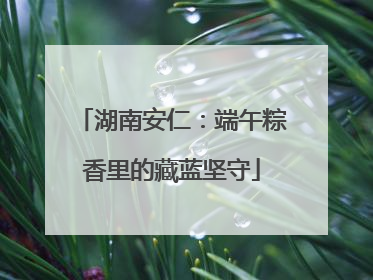 湖南安仁：端午粽香里的藏蓝坚守