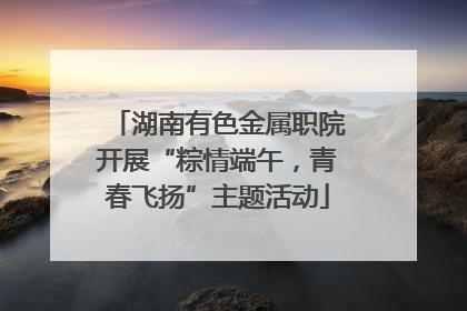 湖南有色金属职院开展“粽情端午，青春飞扬”主题活动