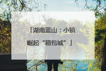 湖南蓝山：小镇崛起“箱包城”