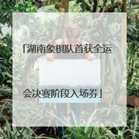 湖南象棋队首获全运会决赛阶段入场券