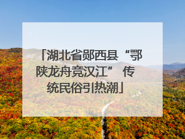 湖北省郧西县“鄂陕龙舟竞汉江” 传统民俗引热潮