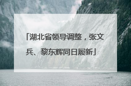 湖北省领导调整，张文兵、黎东辉同日履新
