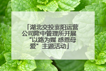湖北交投襄阳运营公司隆中管理所开展“以路为媒 感恩母爱”主题活动