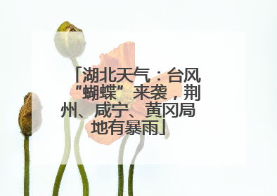 湖北天气：台风“蝴蝶”来袭，荆州、咸宁、黄冈局地有暴雨