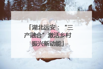 湖北远安：“三产融合”激活乡村振兴新动能
