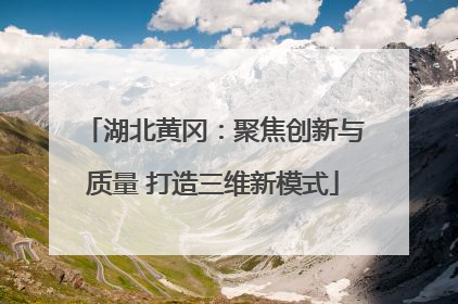 湖北黄冈：聚焦创新与质量 打造三维新模式