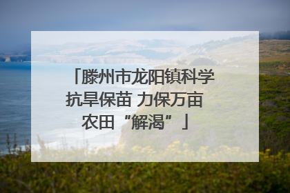 滕州市龙阳镇科学抗旱保苗 力保万亩农田“解渴”