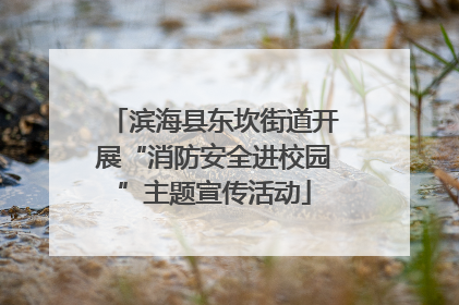 滨海县东坎街道开展“消防安全进校园”主题宣传活动