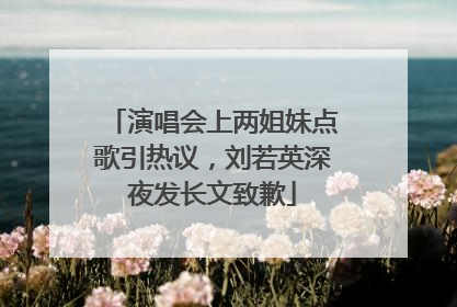 演唱会上两姐妹点歌引热议，刘若英深夜发长文致歉