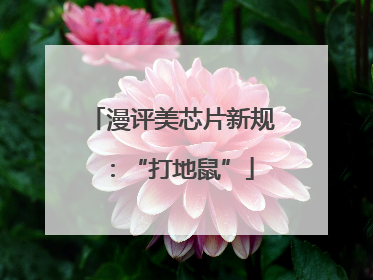 漫评美芯片新规：“打地鼠”