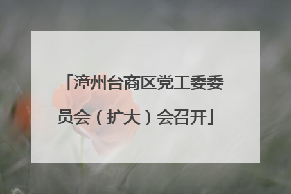 漳州台商区党工委委员会（扩大）会召开