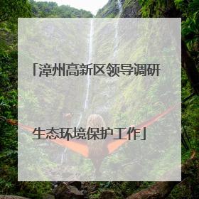 漳州高新区领导调研生态环境保护工作