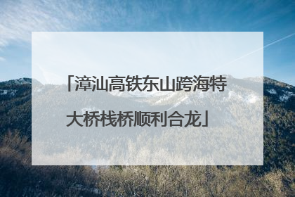 漳汕高铁东山跨海特大桥栈桥顺利合龙