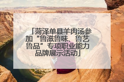 菏泽单县羊肉汤参加“鲁滋鲁味、鲁艺鲁品”专项职业能力品牌展示活动