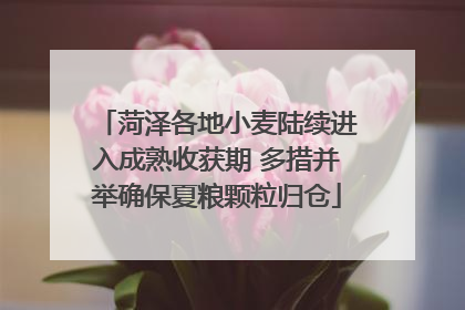 菏泽各地小麦陆续进入成熟收获期 多措并举确保夏粮颗粒归仓