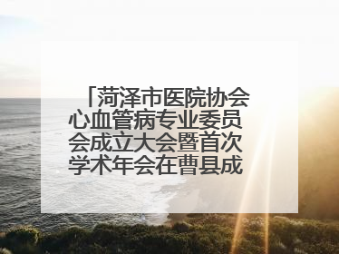 菏泽市医院协会心血管病专业委员会成立大会暨首次学术年会在曹县成功举行