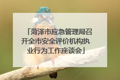 菏泽市应急管理局召开全市安全评价机构执业行为工作座谈会