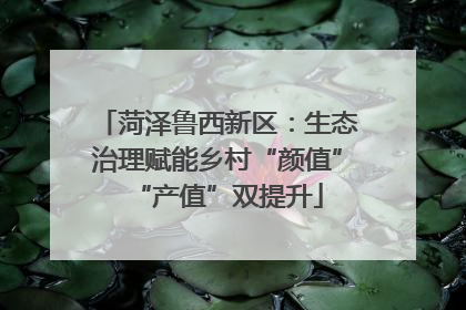 菏泽鲁西新区：生态治理赋能乡村“颜值”“产值”双提升