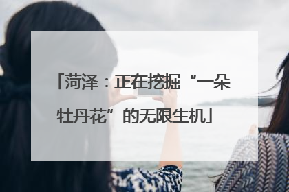 菏泽：正在挖掘“一朵牡丹花”的无限生机