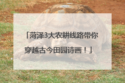 菏泽3大农耕线路带你穿越古今田园诗画！